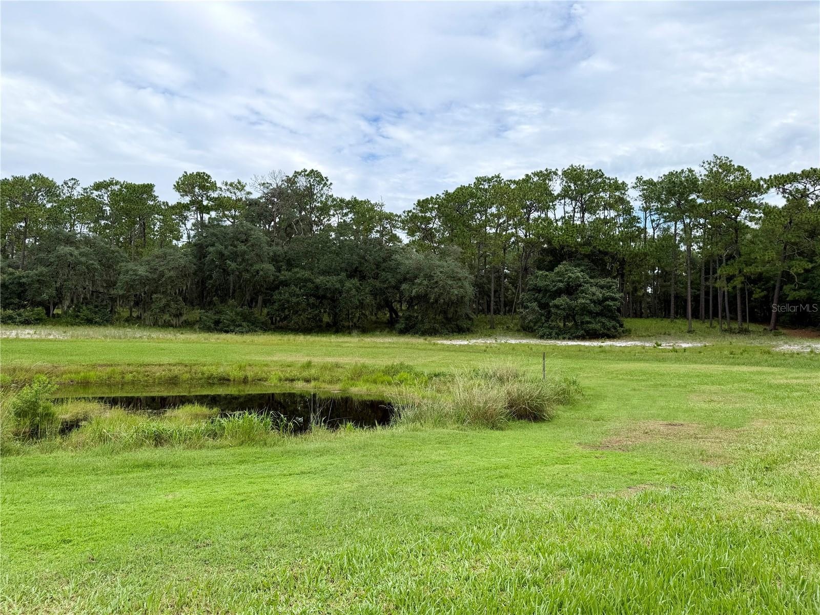 Pond