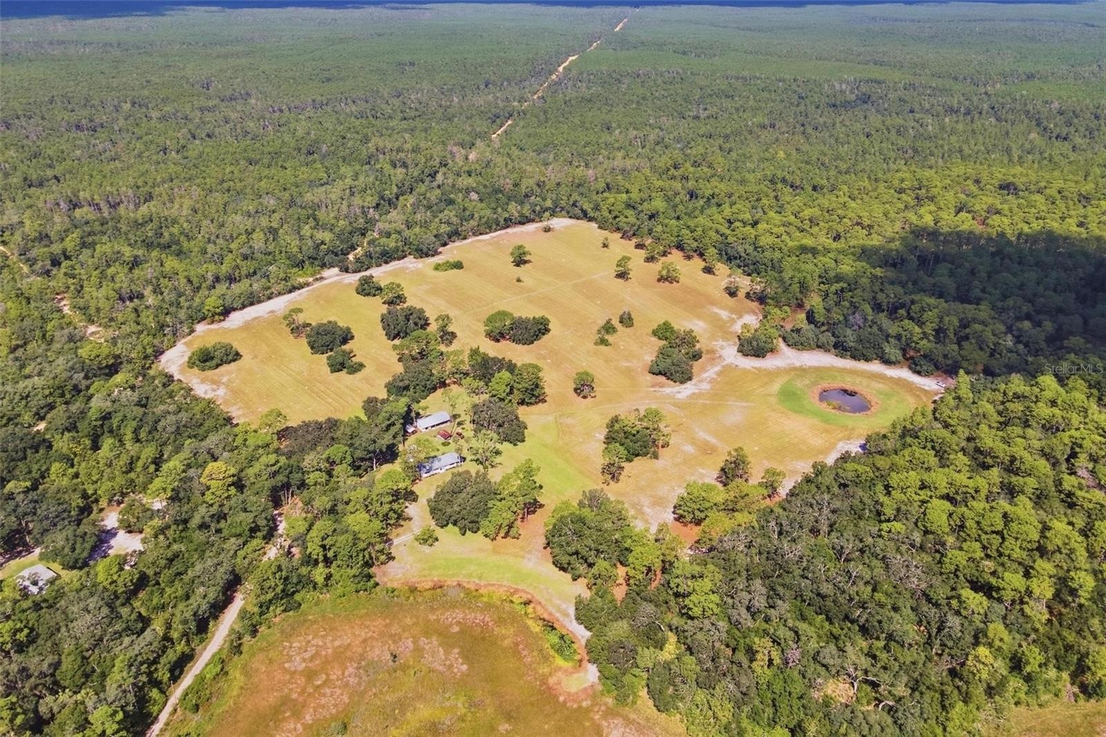 Nestled in the Ocala National Forest