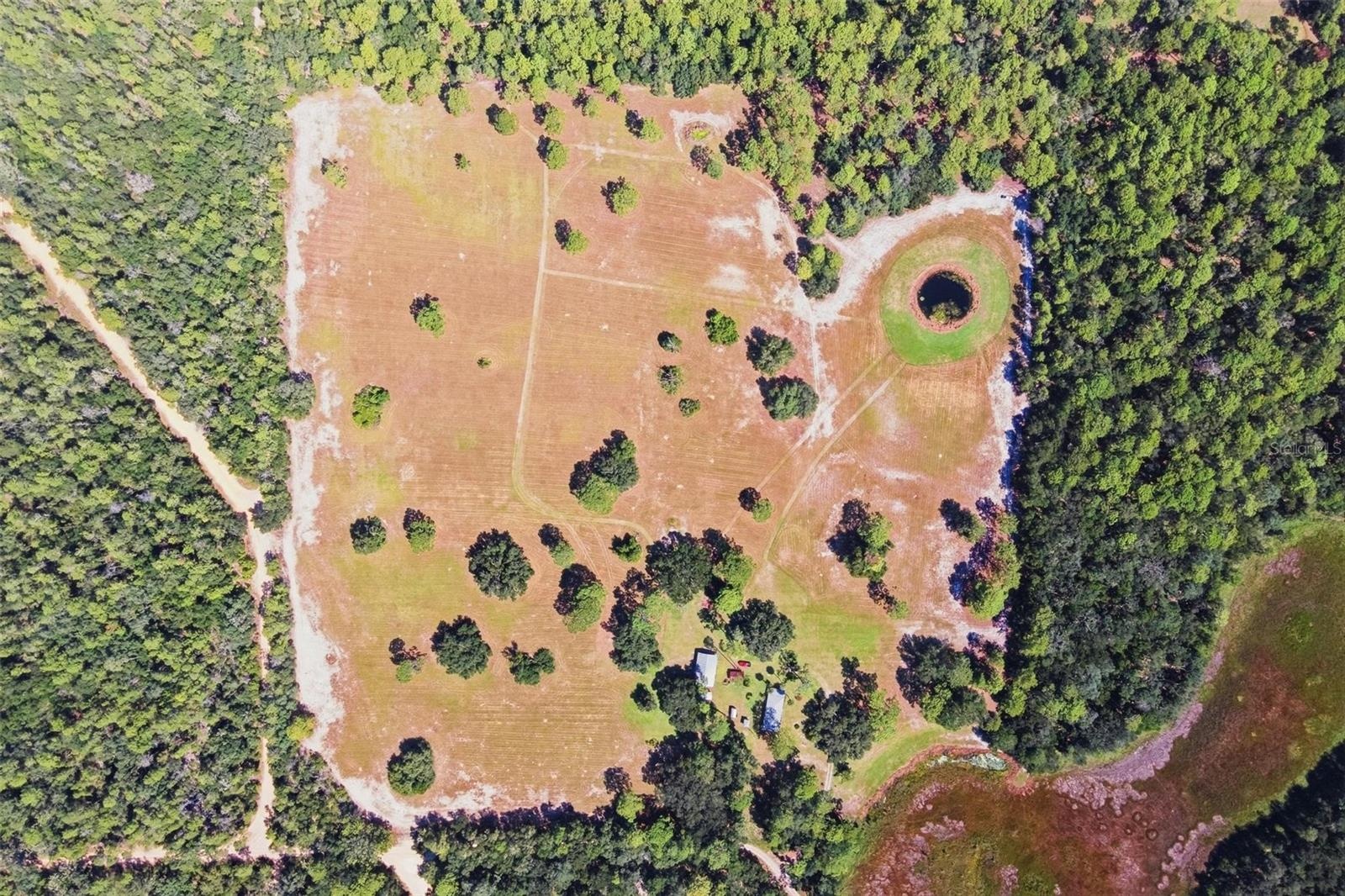 40+ Acres in the Ocala National Forest