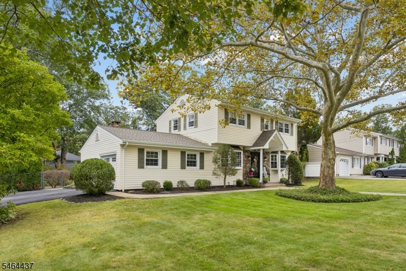 Immaculate Colonial