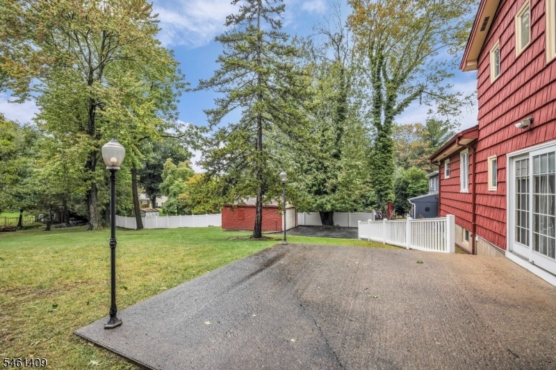 Park like backyard