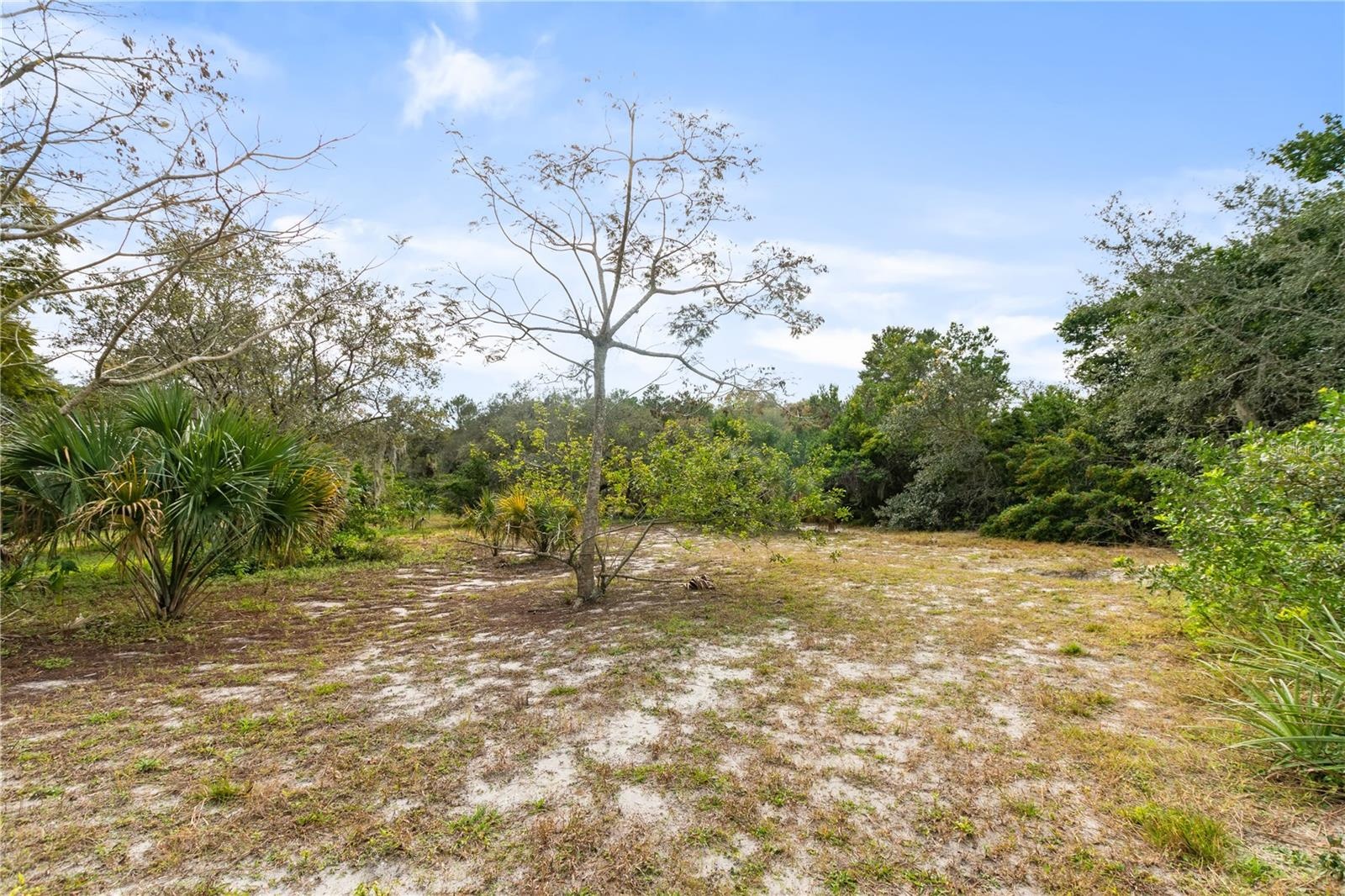 Open land area