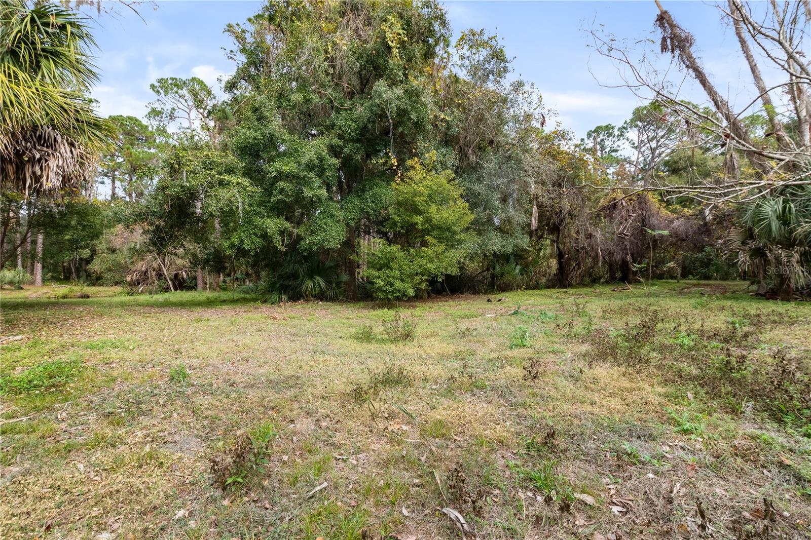 Open land area
