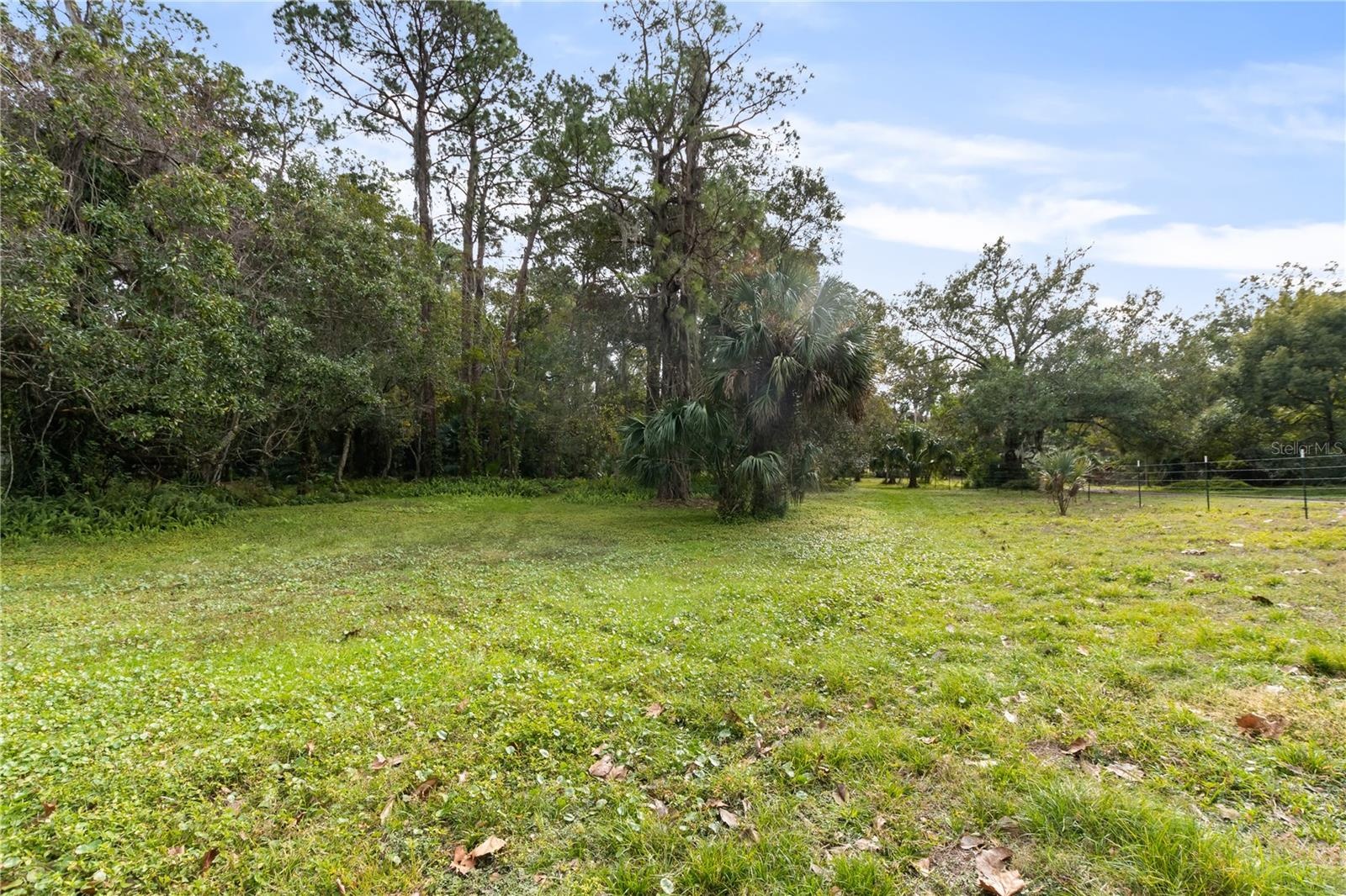 Open land area