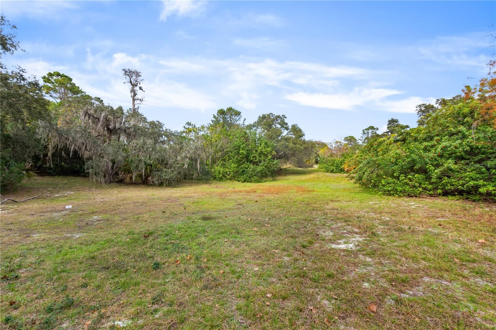 Open land area