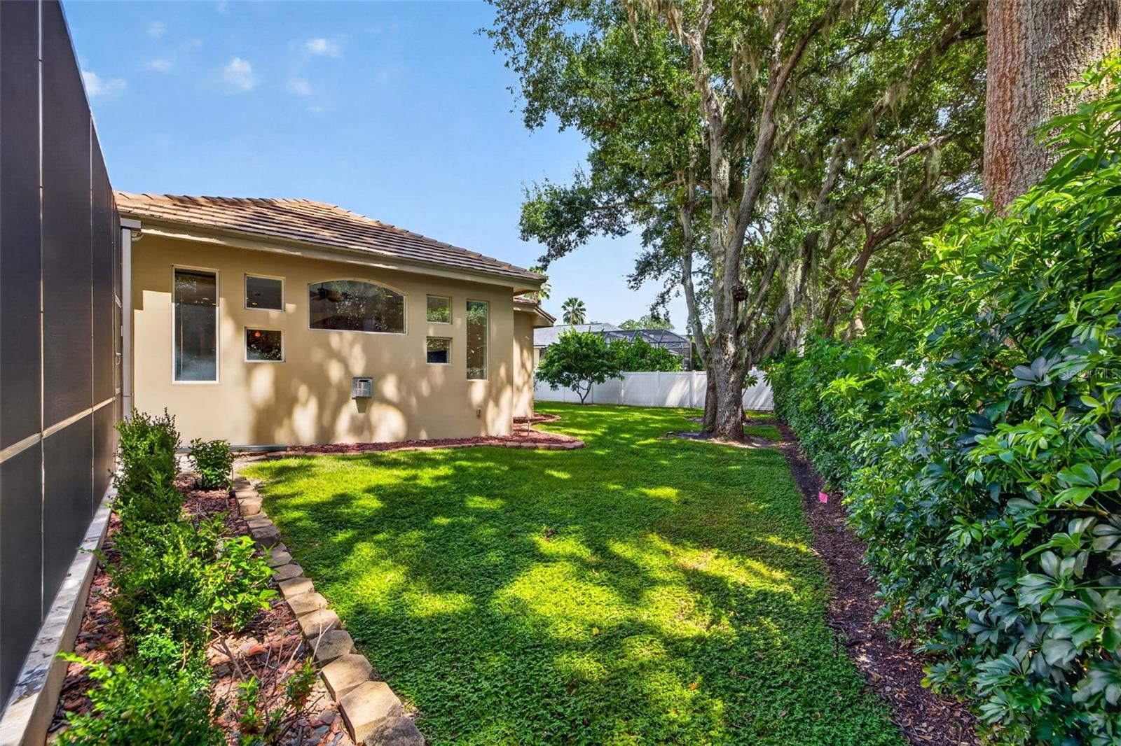 Large backyard with fruit trees