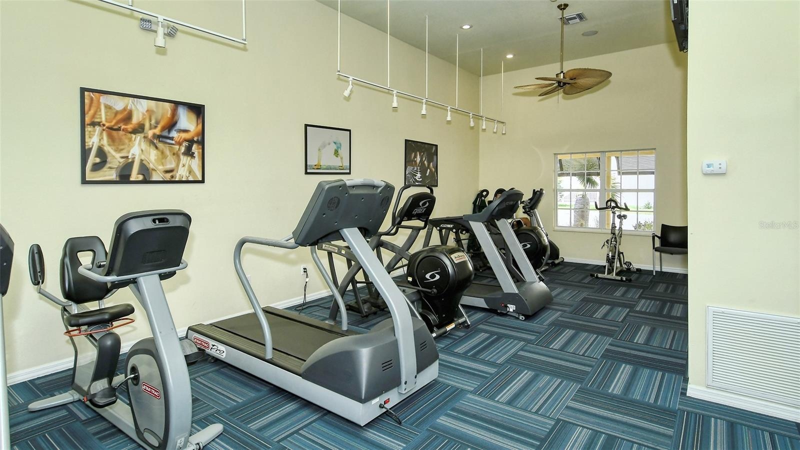The gym