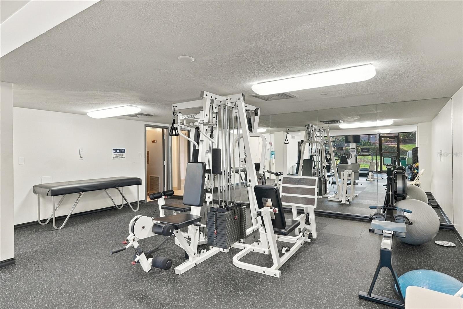 Fitness Gym Equipment