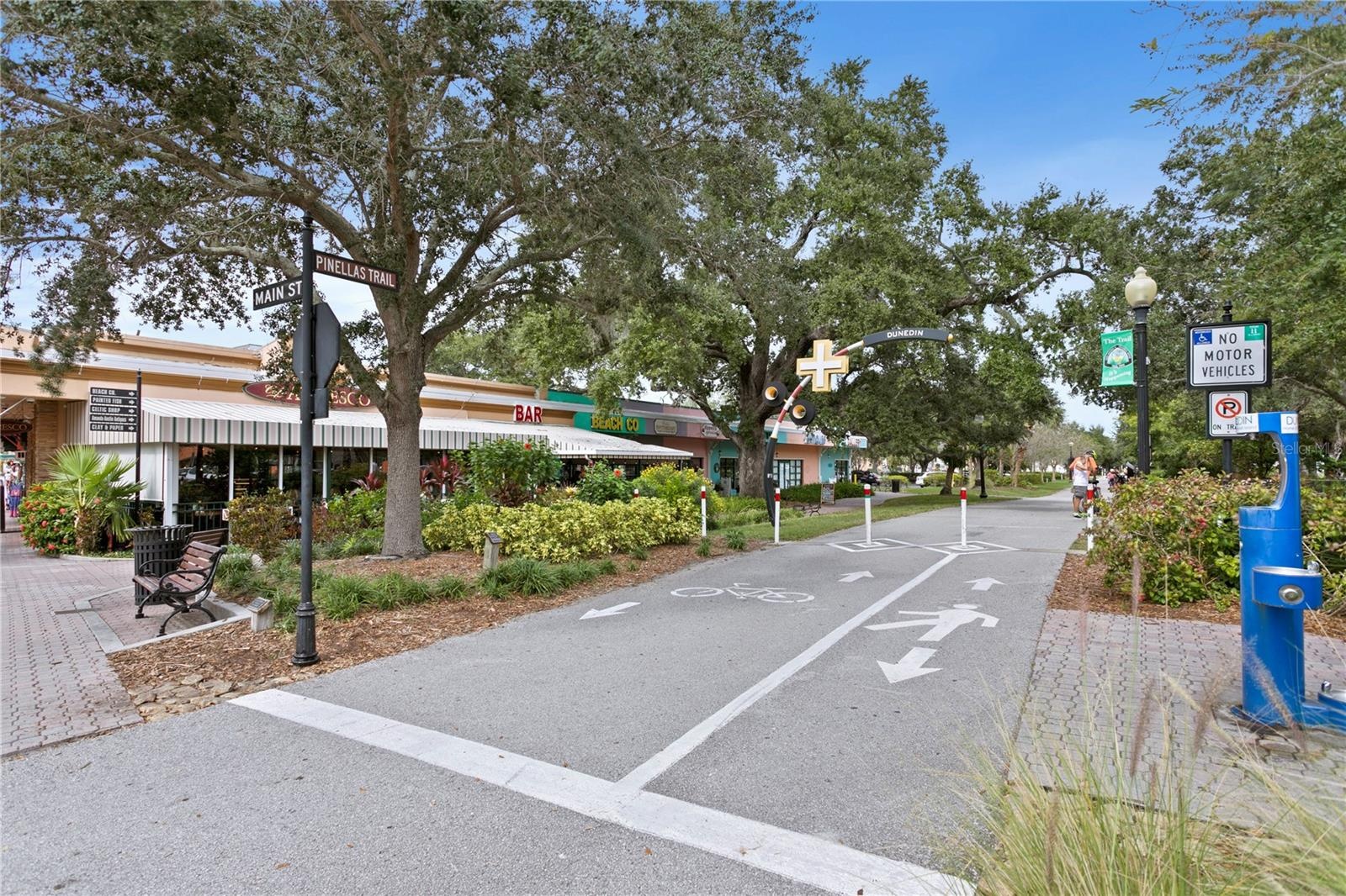 Take the trail down to Dunedin's charming Main Street!
