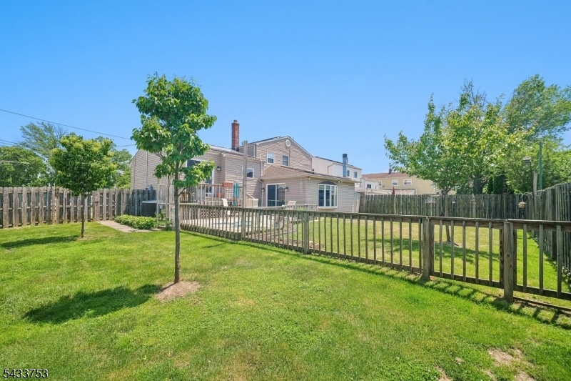 Backyard 3