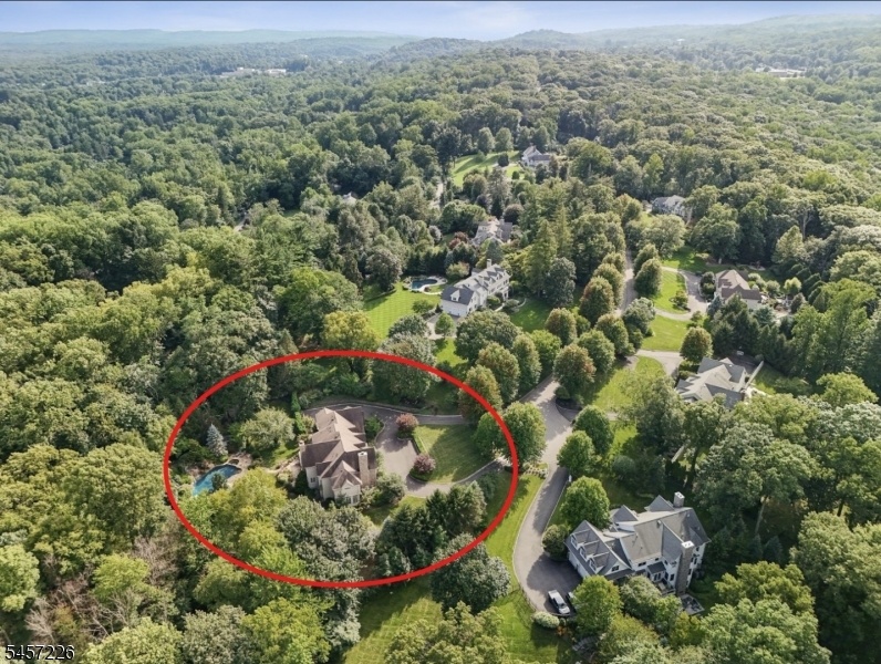 Aerial View of the Setting