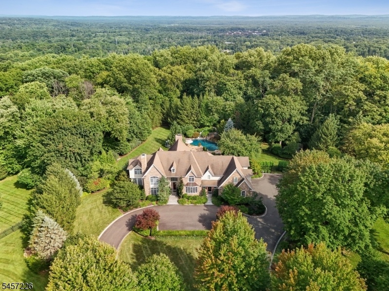 Aerial View of the Property