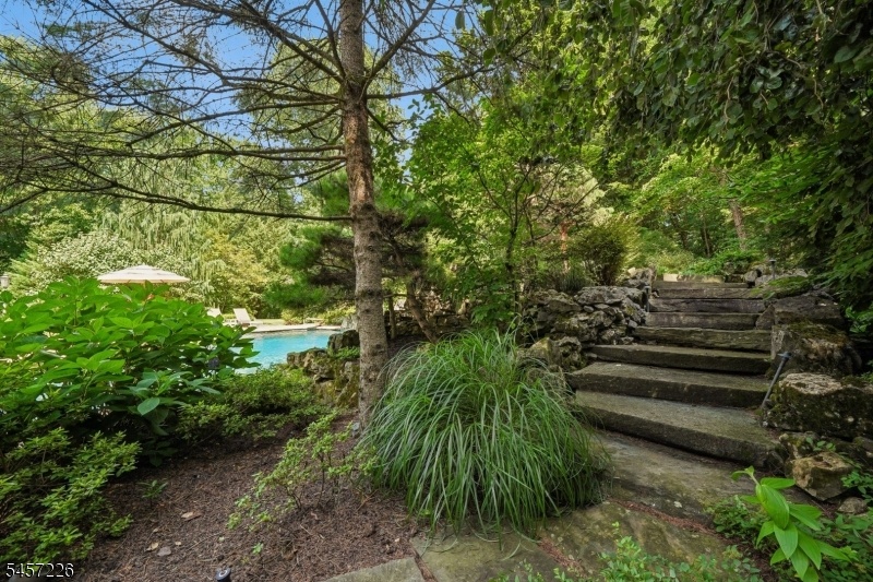 Rear Yard Stone Steps