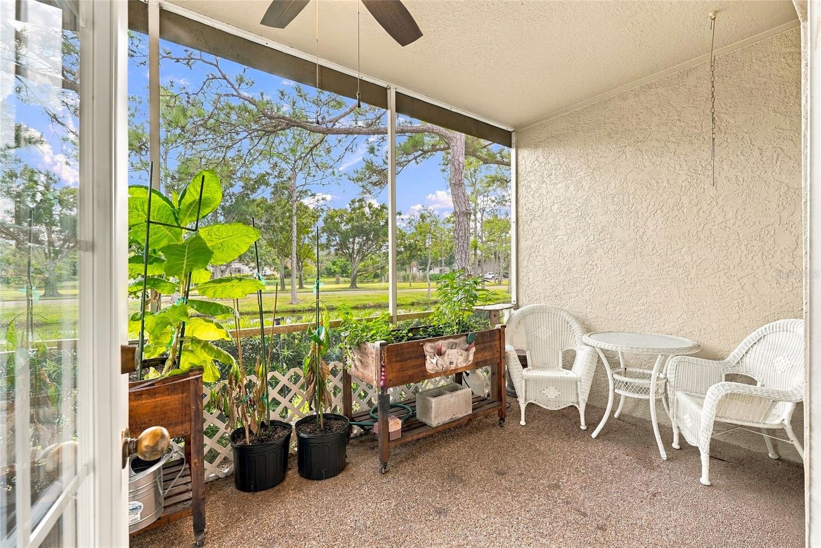 Enclosed lanai overlooking the pond—an inviting space for morning coffee, relaxing, or enjoying the surrounding wildlife.