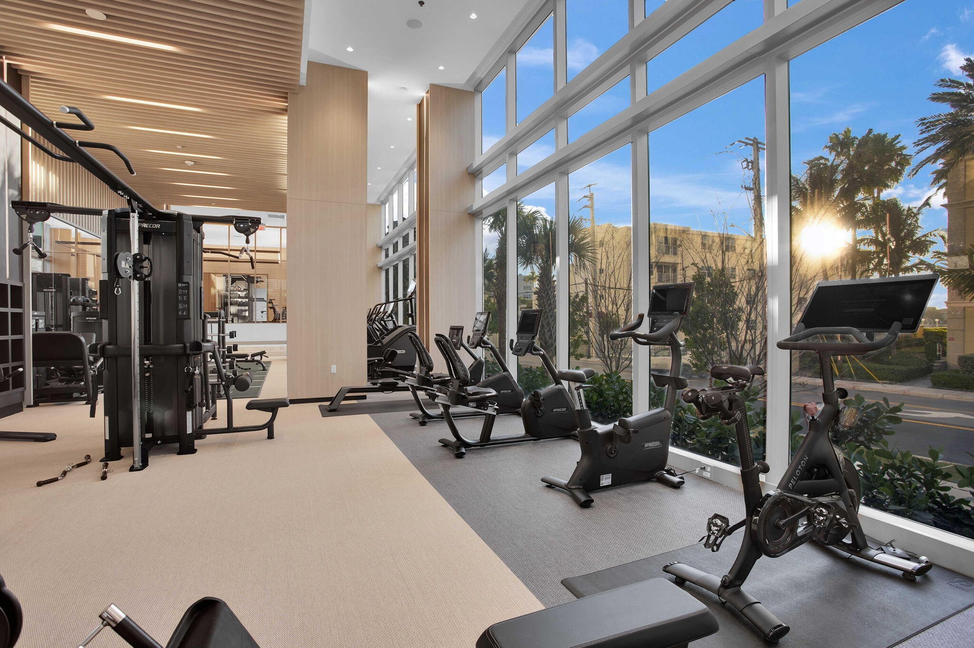 GYM