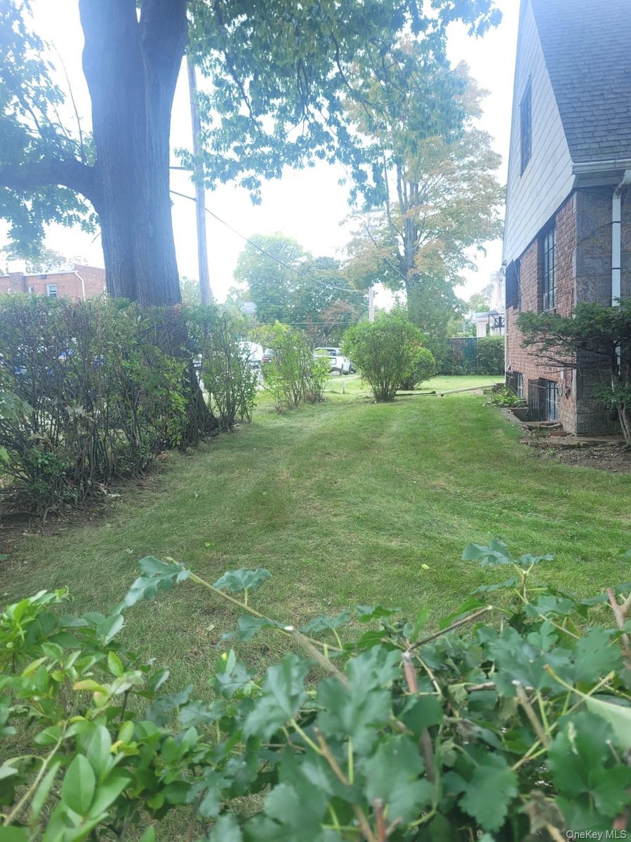 Expansive green lawn with mature trees and established hedges