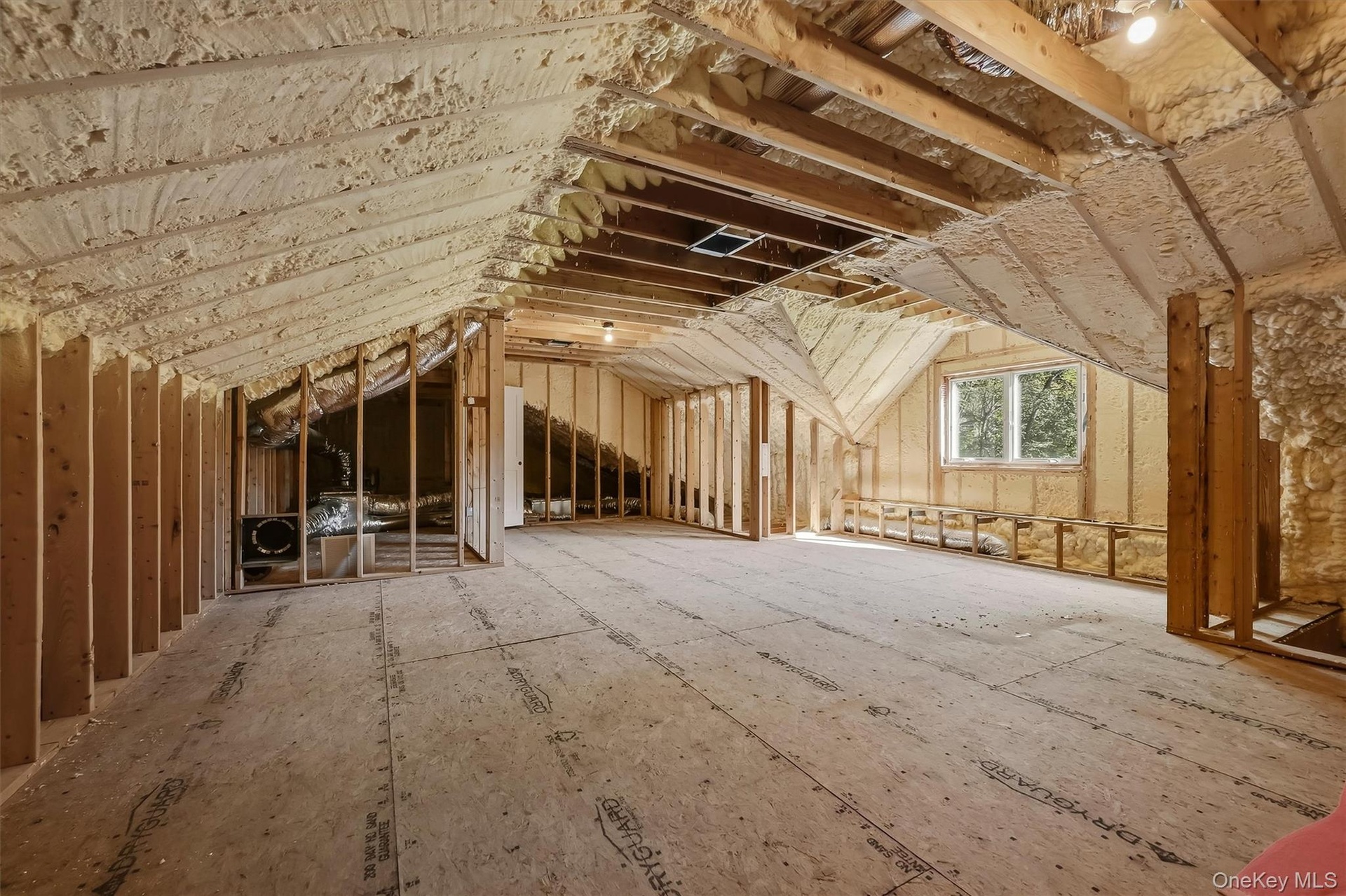 Additional Future living space