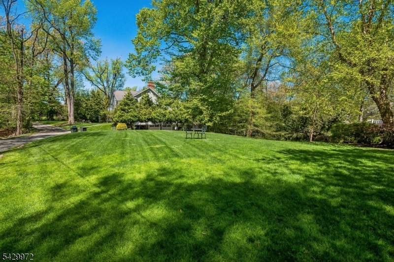 Beautiful Backyard.