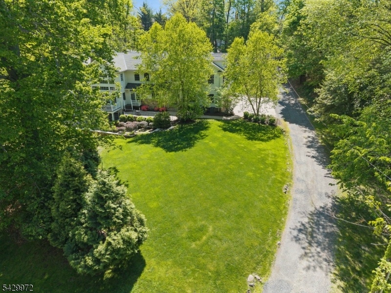 Beautiful Backyard.
