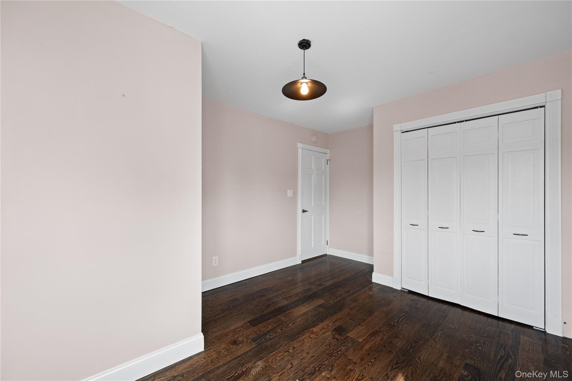 Dark wood-finish flooring, light-toned wall paint, crisp white trim, and a contemporary ceiling fixture