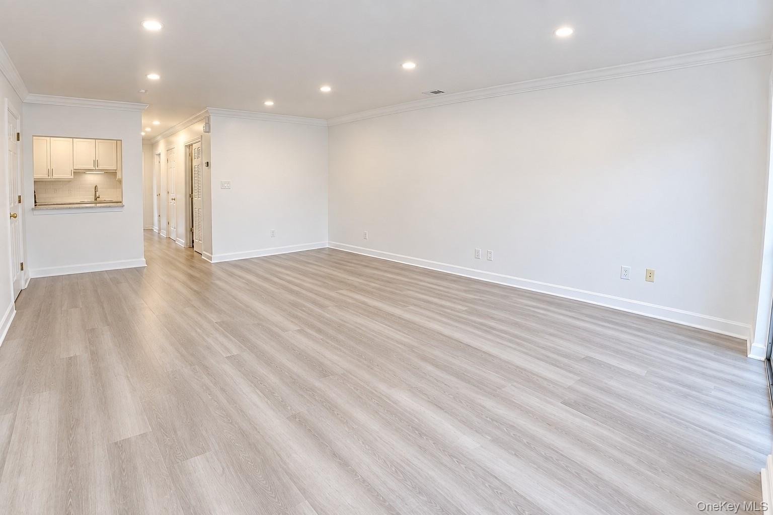 Spacious Open Concept LR, DR