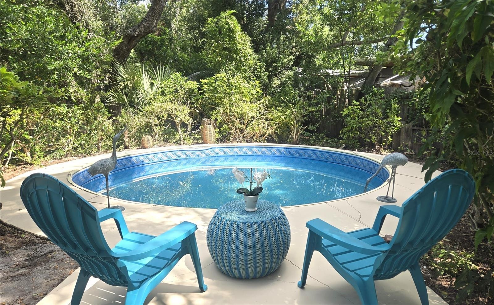 Charming Sun Deck with Privacy and Lush Landscaping