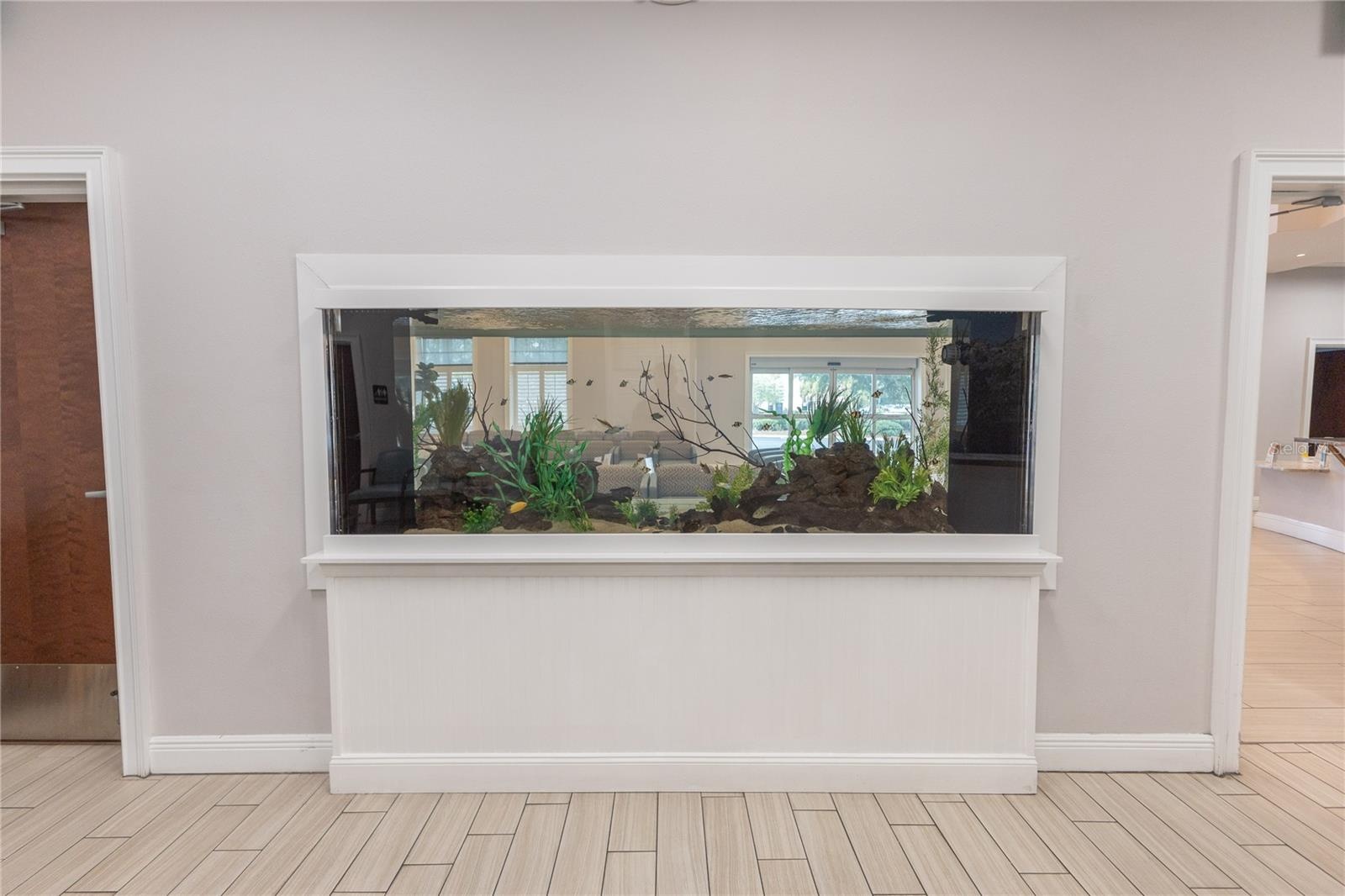 Fishtank in lobby