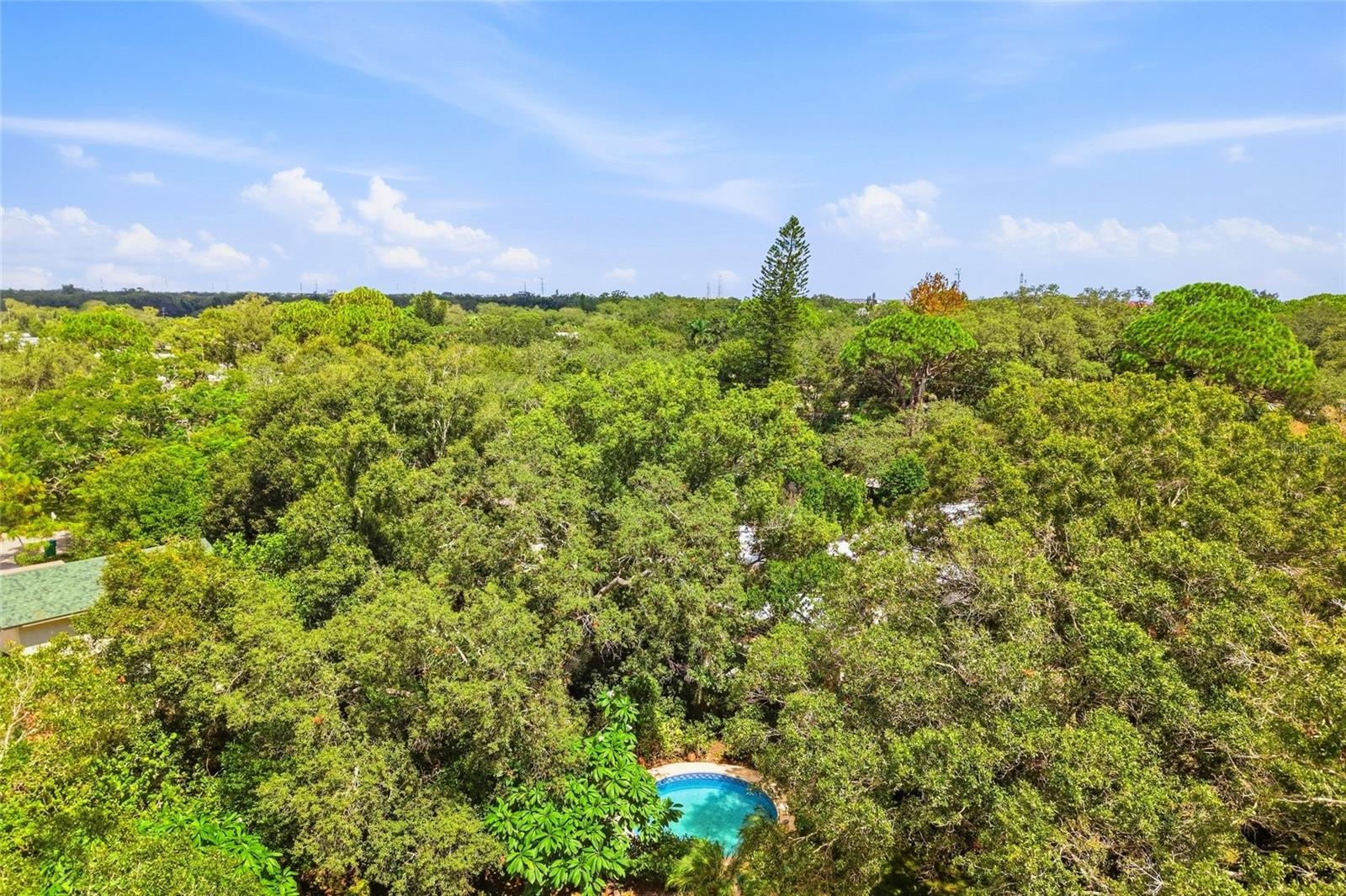 Lush, Tropical Landscaping Provides a Serene and Peaceful Setting!