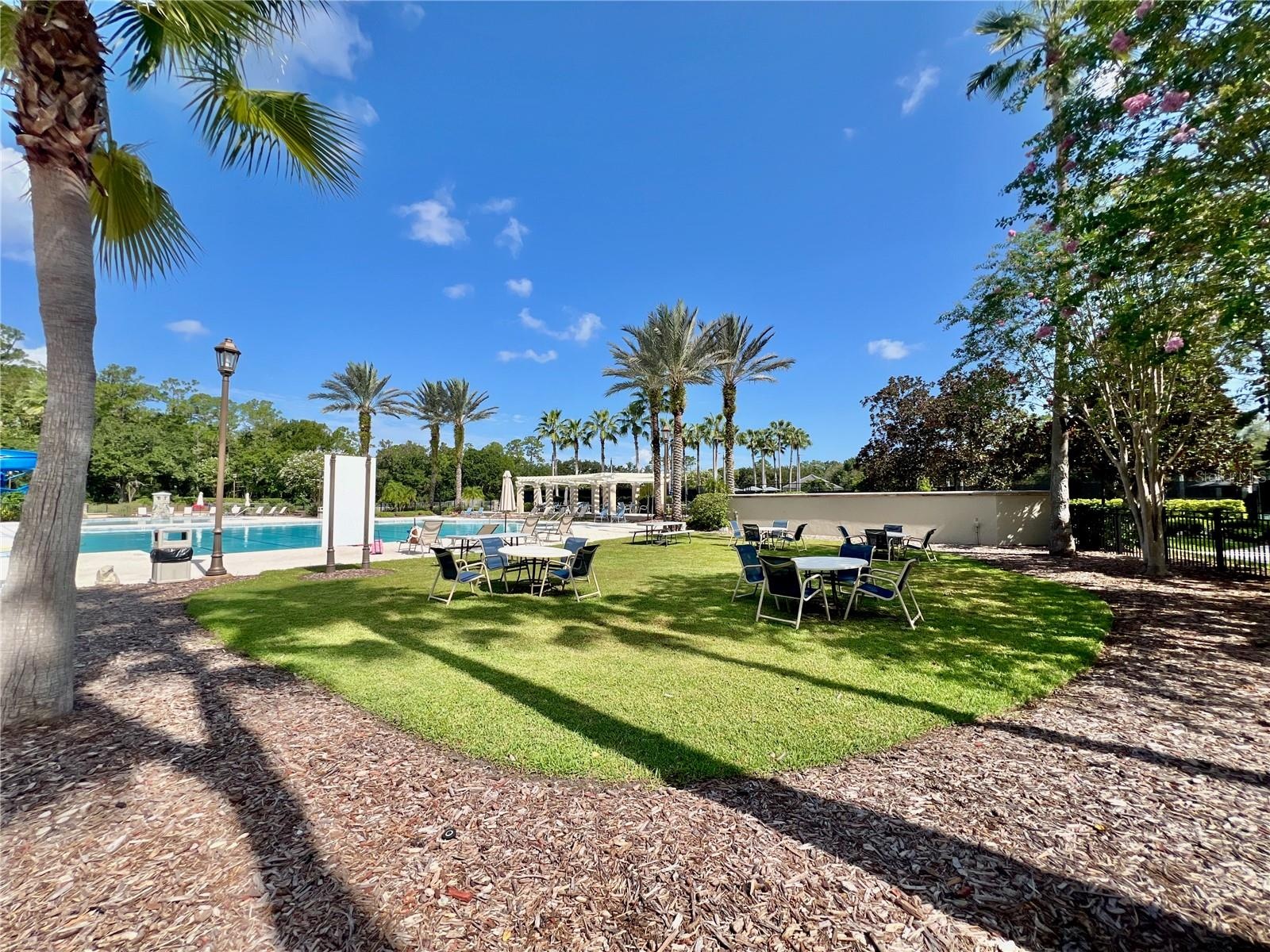 A view of the Beautiful Community Pool Area