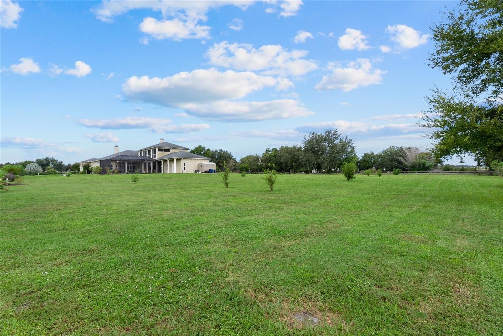 The back of the front pasture looking towards the house