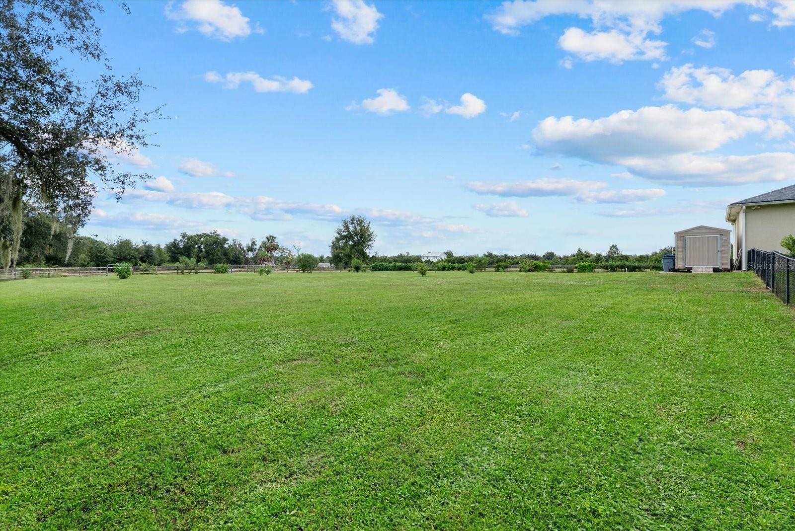 The front pasture behind the house
