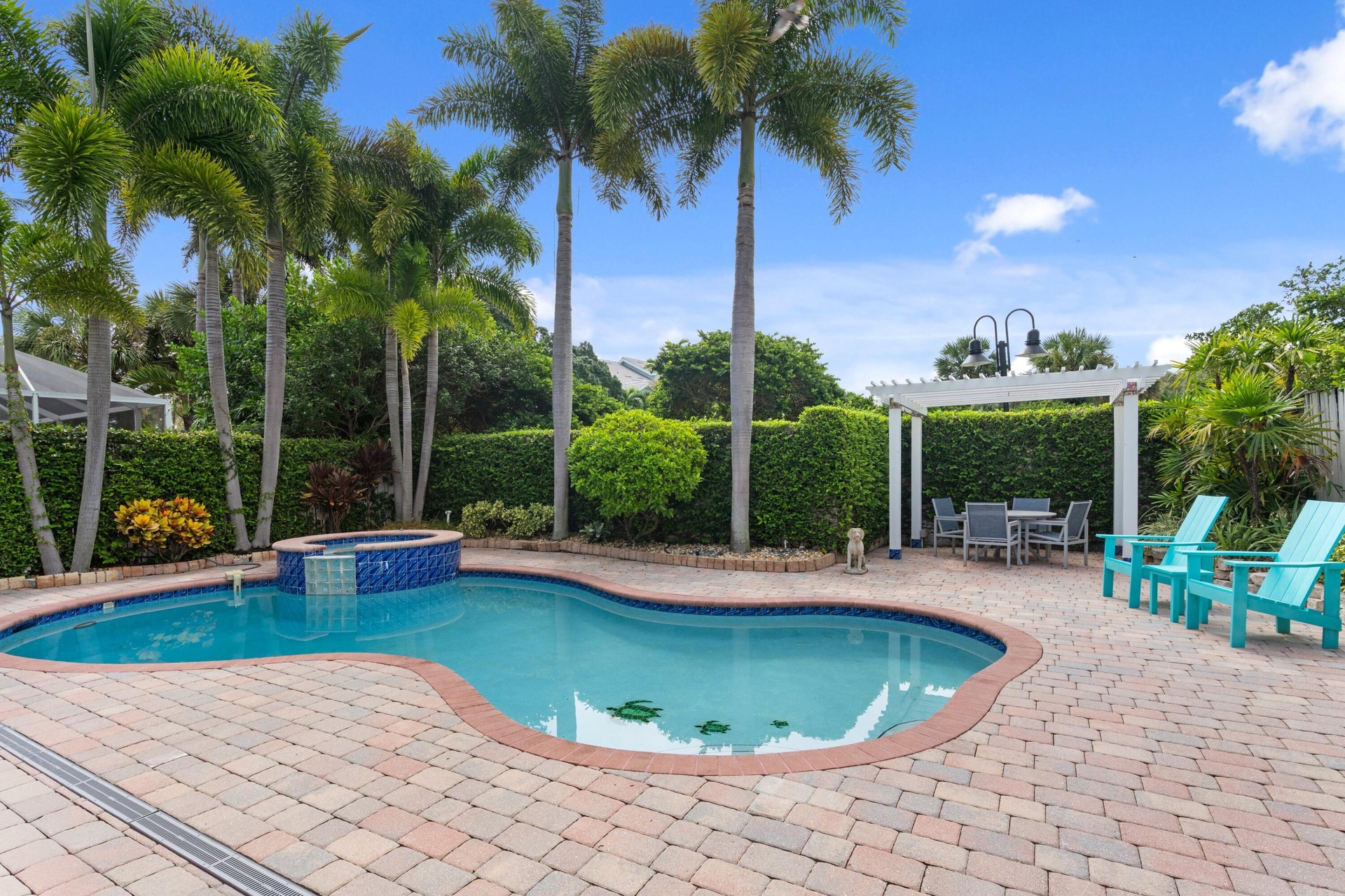 Private backyard oasis
