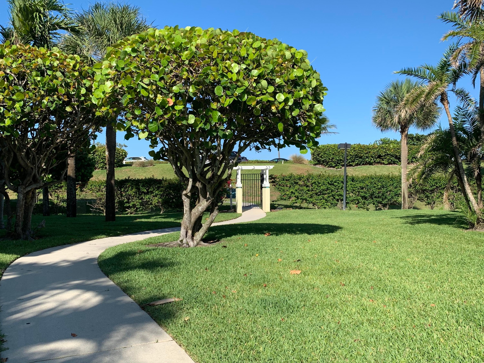 Path to Jupiter Beach