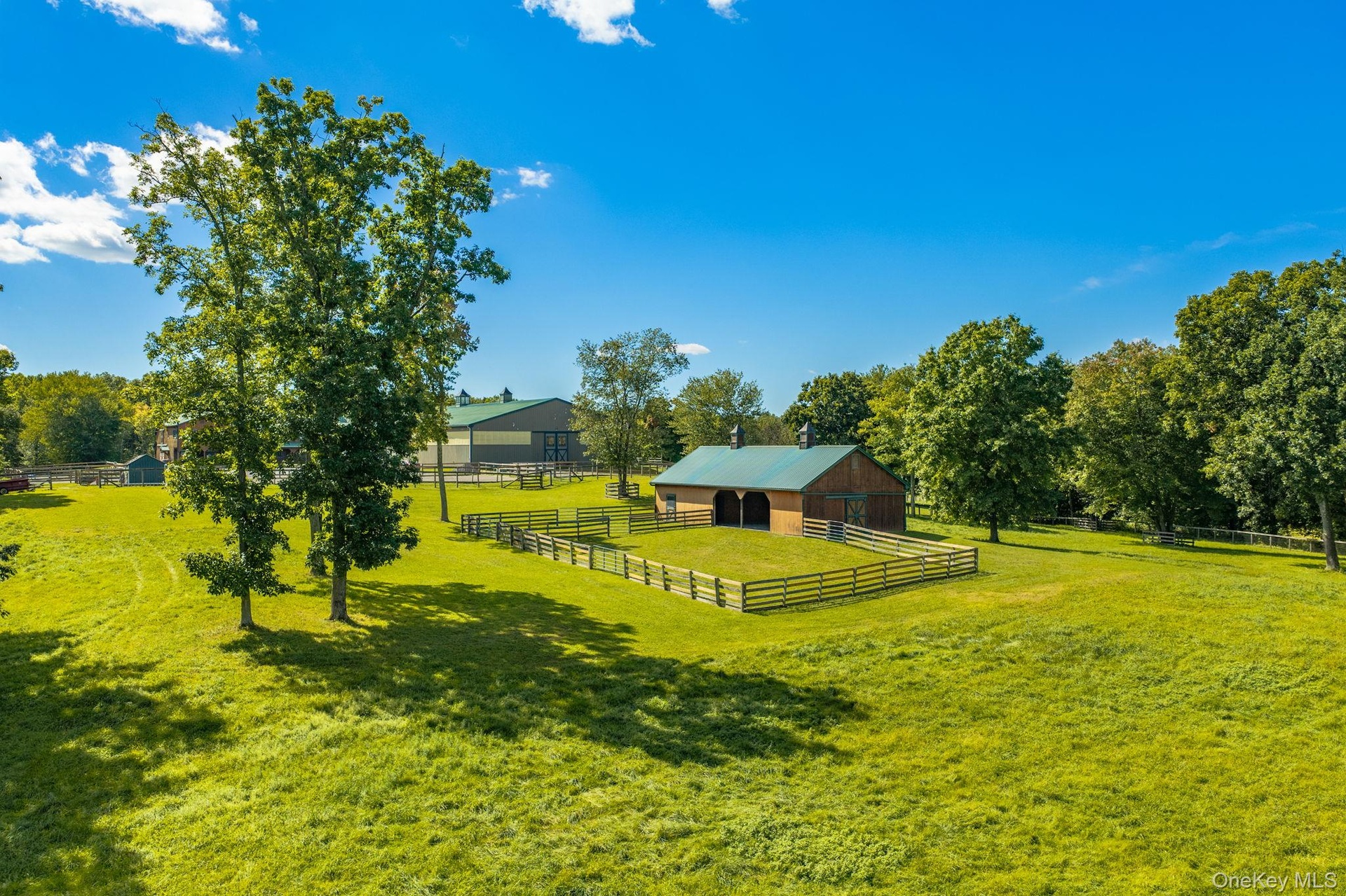 Loafing shed and surrounding field (fenced)