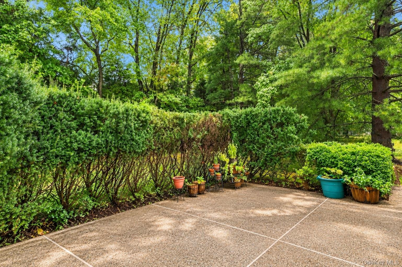 AI Enhanced Back Patio