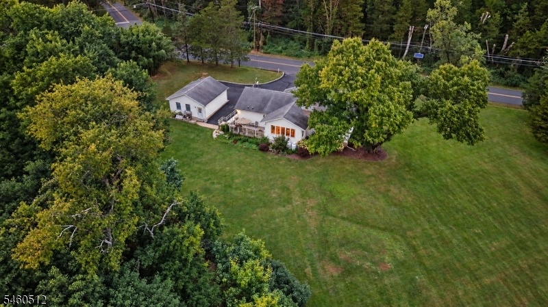 Beautiful backyard