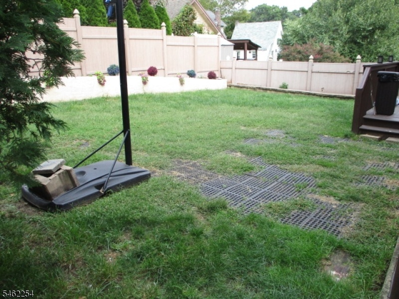 Fenced in Back Yard