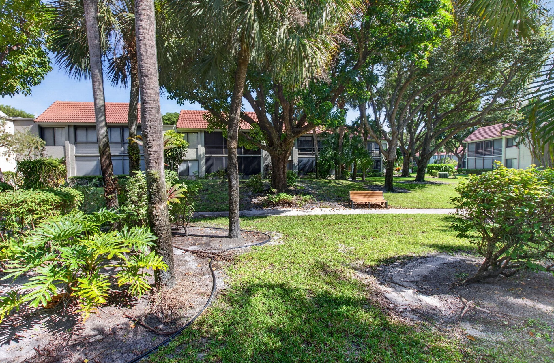 Manicured lawn with mature trees and tropical landscaping