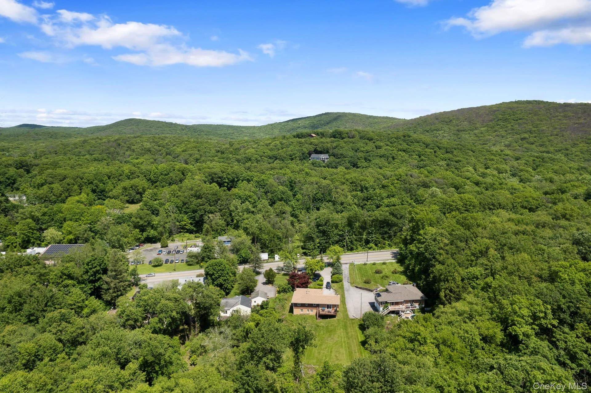 Drone / aerial view of a forest and a mountainous background