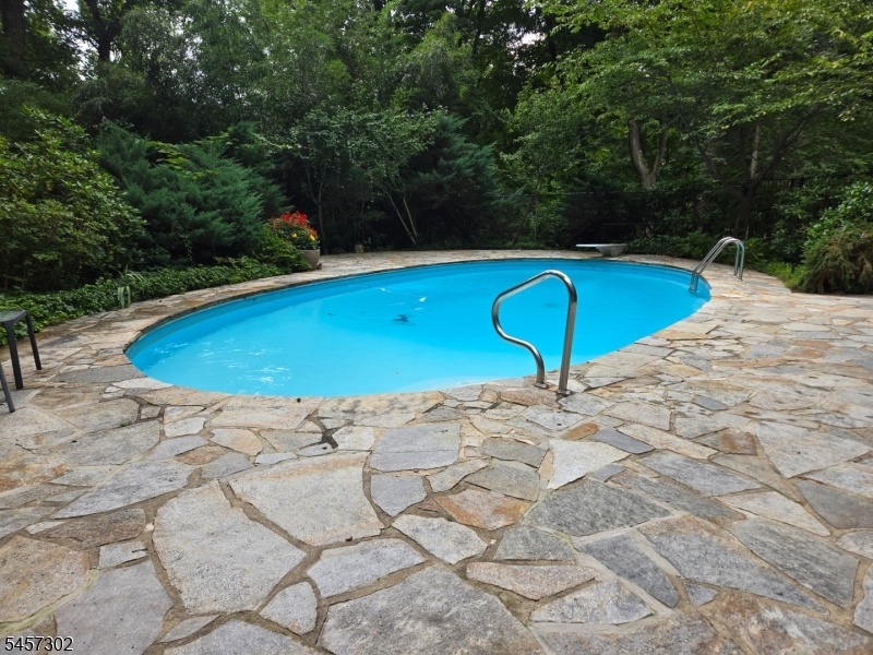 Heated pool - oval shape