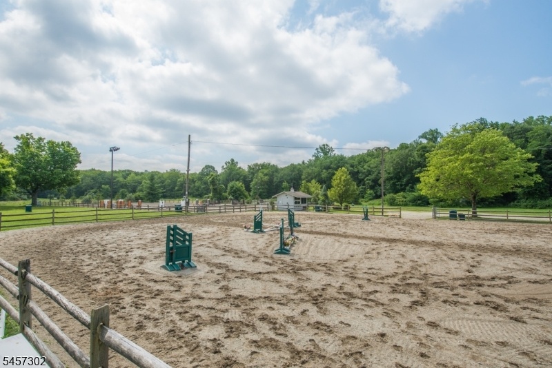 Come watch a horse show!