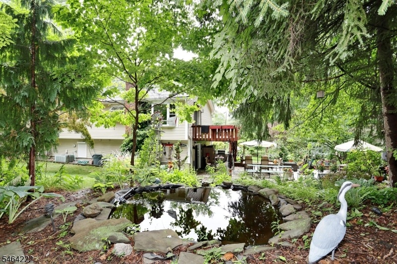 Koi Pond