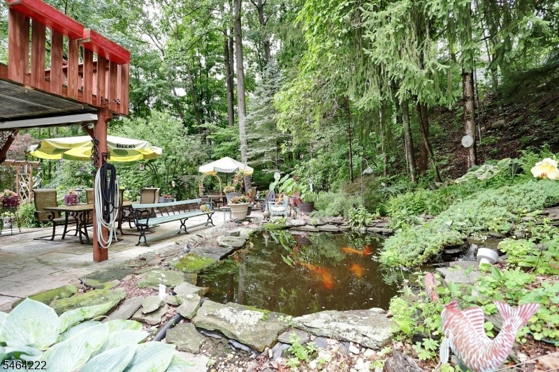 Koi Pond