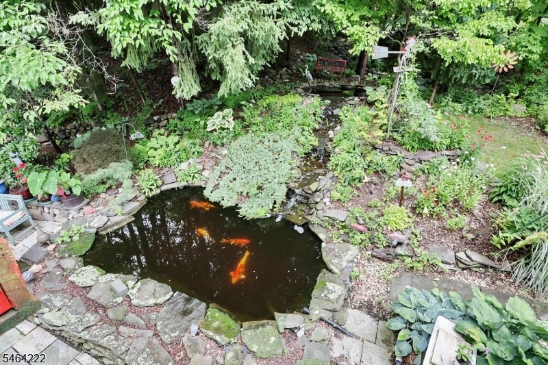 Koi Pond
