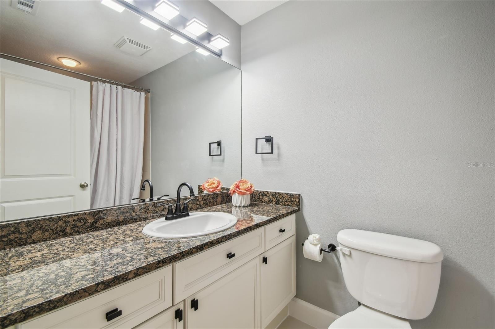 Guest bathroom with stone countertops and tub/shower combo.