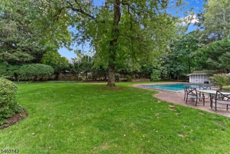 Backyard. Pool Enhanced