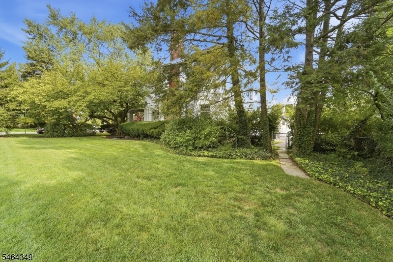 Front Yard