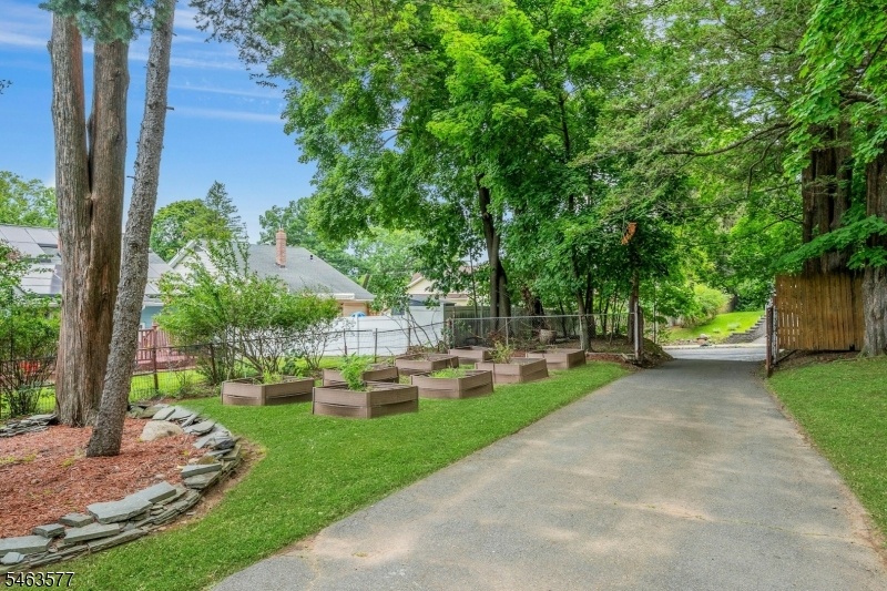 long driveway with raised beds