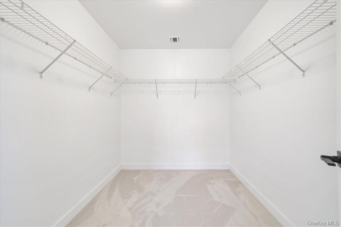 Walk in closet with carpet