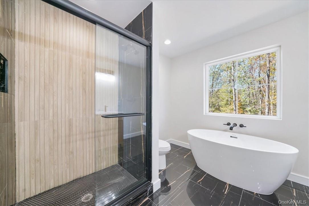 Bathroom featuring toilet and shower with separate bathtub